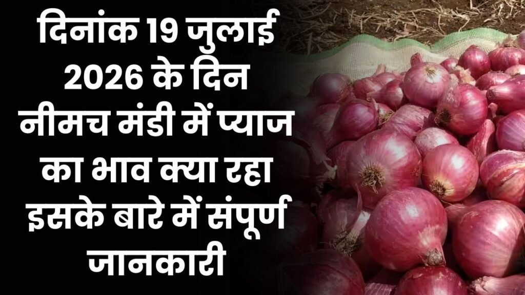 Neemuch Mandi Pyaj Ka Bhav 