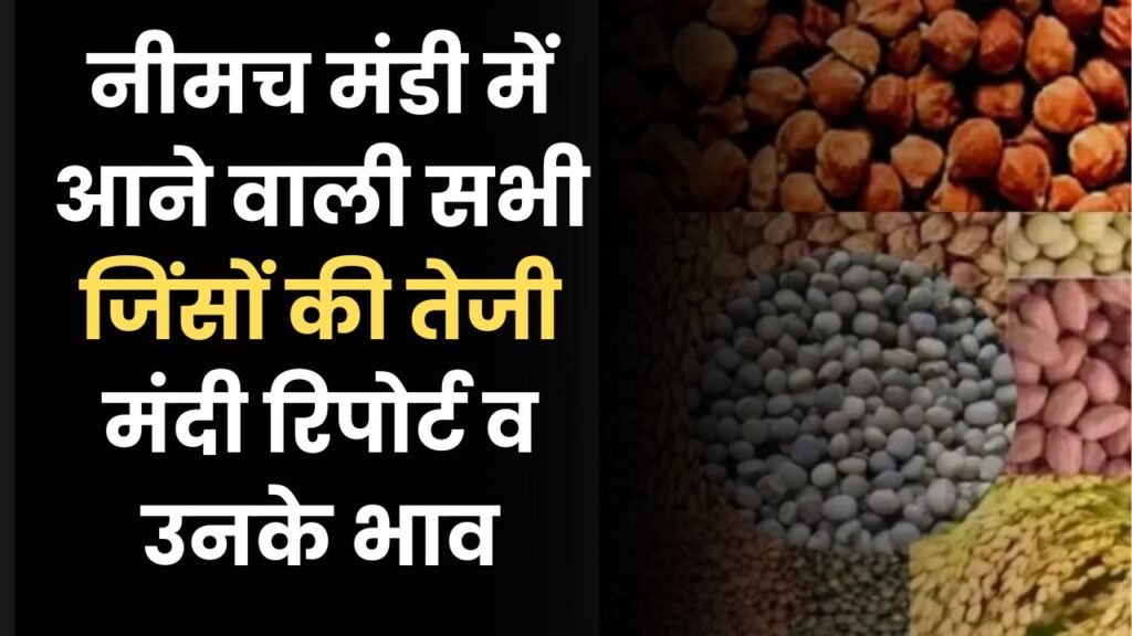 नीमच मंडी में आने वाली सभी जिंसों की तेजी मंदी रिपोर्ट व उनके भाव