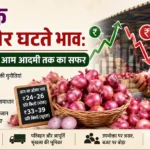 प्याज के बढ़ते और घटते भाव