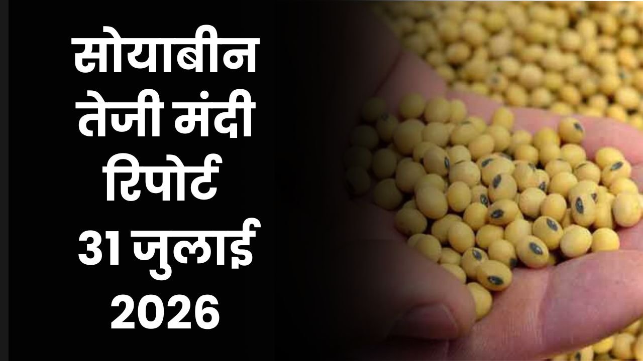सोयाबीन तेजी मंदी रिपोर्ट 31 जुलाई 2026