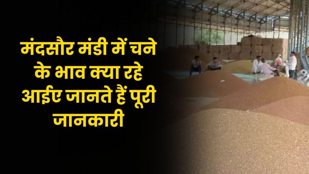 Mandsour Mandi Bhav