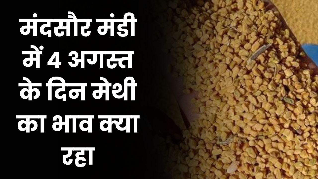 Mandsouur Mandi Methi Bhav