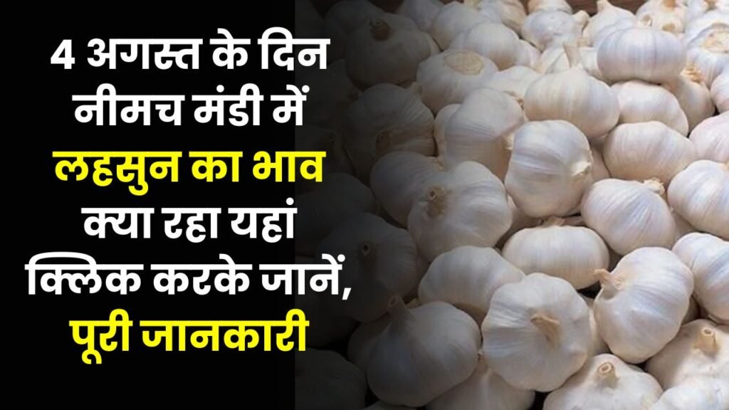 Neemuch Mandi Bhav Today