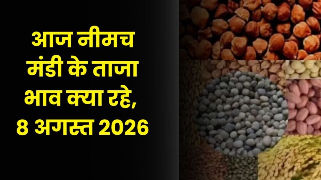 Neemuch Mandi Bhav Today Ka