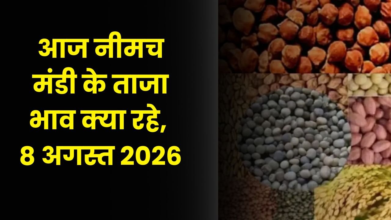 Neemuch Mandi Bhav Today Ka