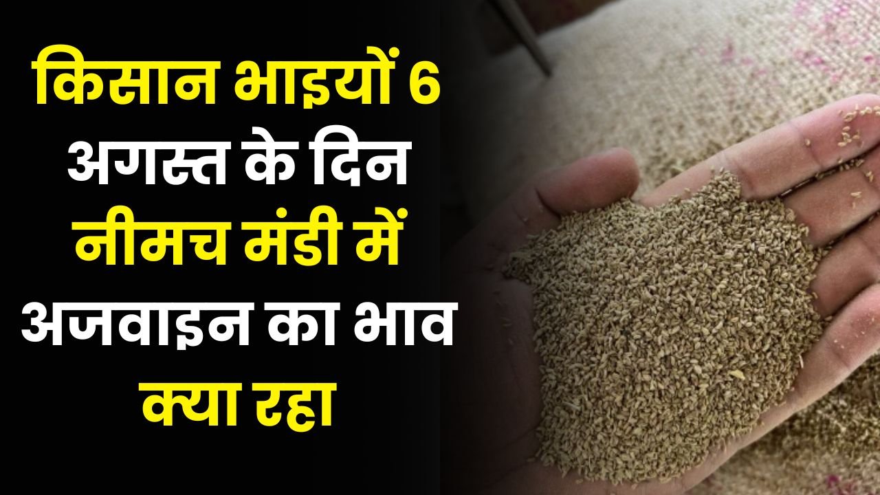 Neemuch Mandi Ka Bhav
