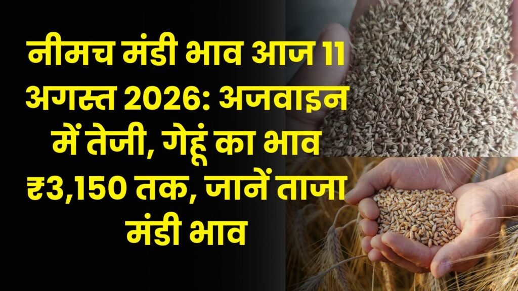 नीमच मंडी भाव आज 11 अगस्त 2026