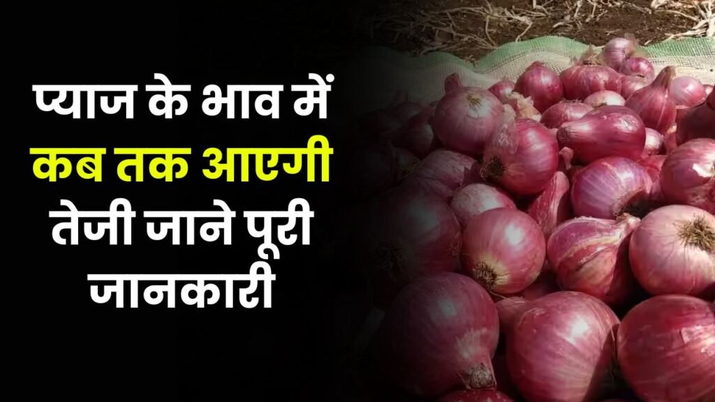 प्याज के भाव में कब तक आएगी तेजी जाने पूरी जानकारी
